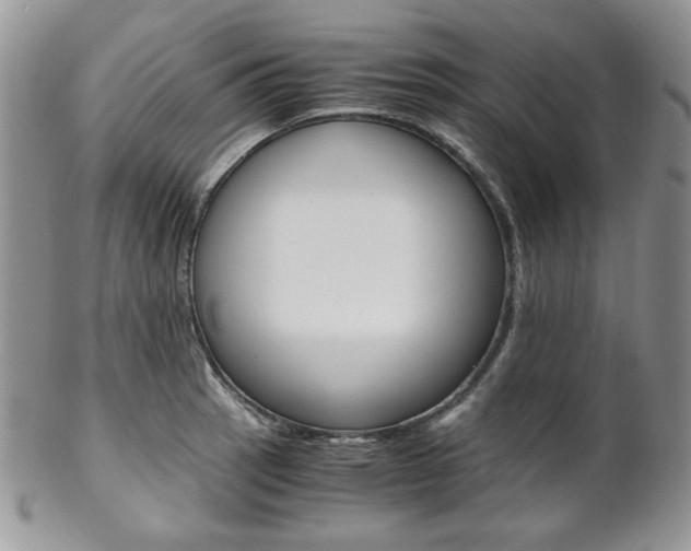 X0000102841137200808181019