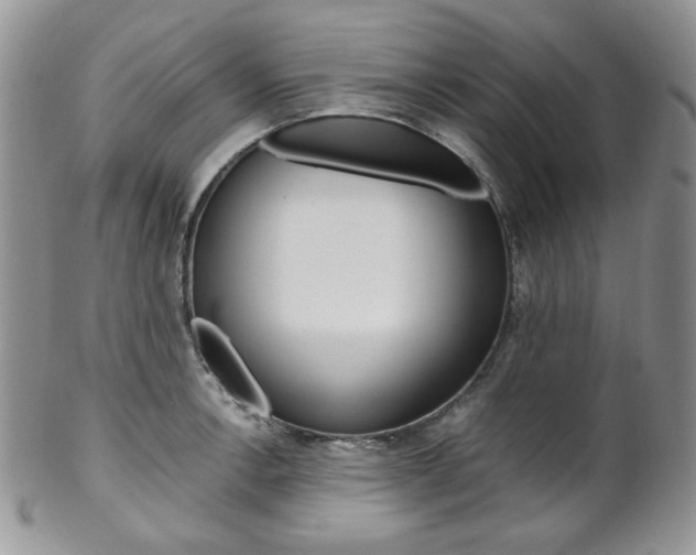 X0000102841138200808181019