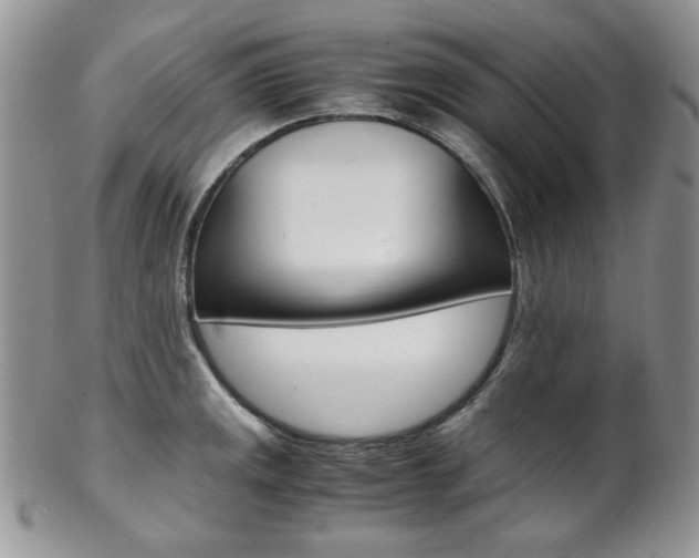 X0000102841141200808181019