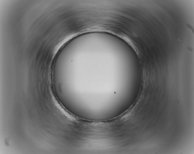 X0000102841142200808181019