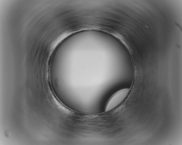 X0000102841143200808181019