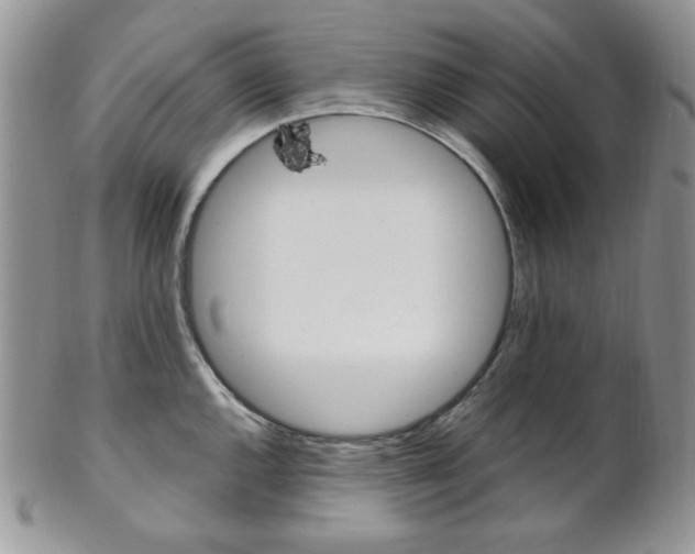 X0000102841144200808181019