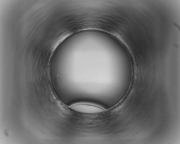 X0000102841145200808181019
