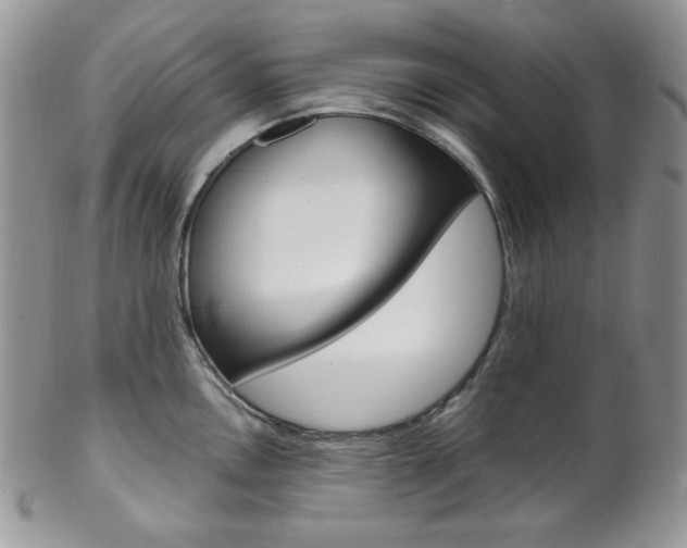 X0000102841146200808181019