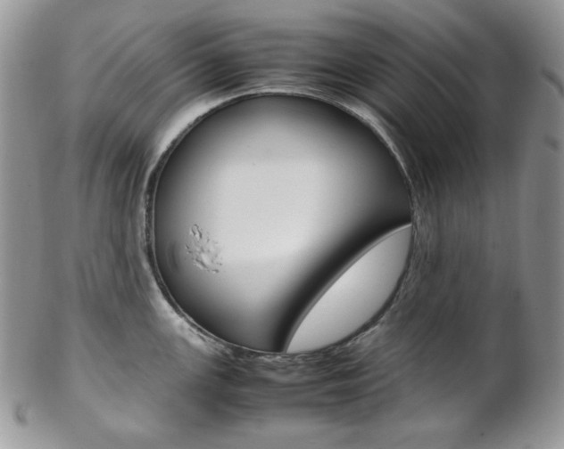 X0000102841147200808181019