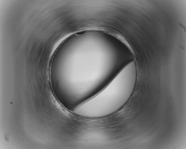 X0000102841148200808181019
