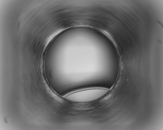 X0000102841149200808181019