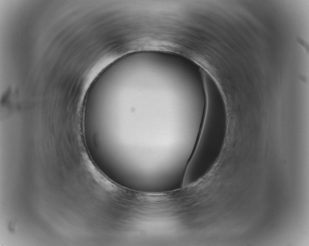 X0000102841152200808181019