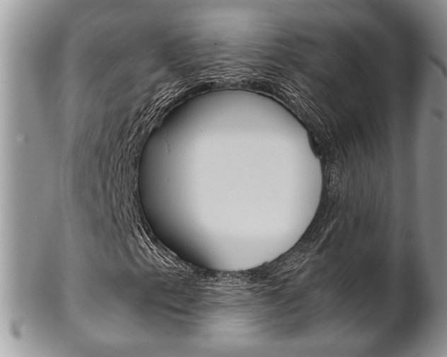 X0000102841153200808181018