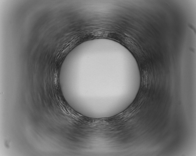 X0000102841154200808181018