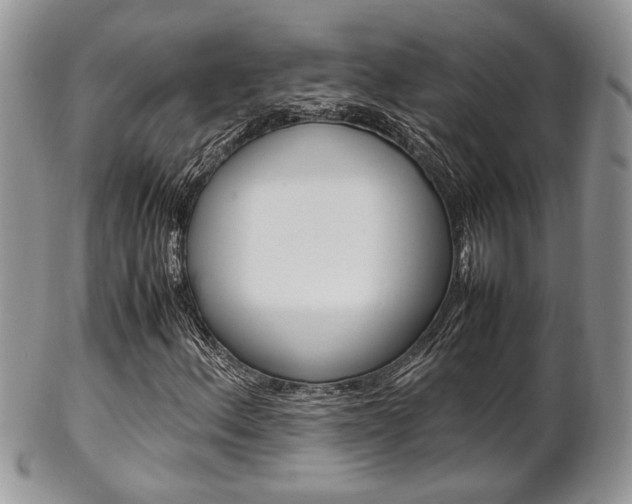 X0000102841156200808181018