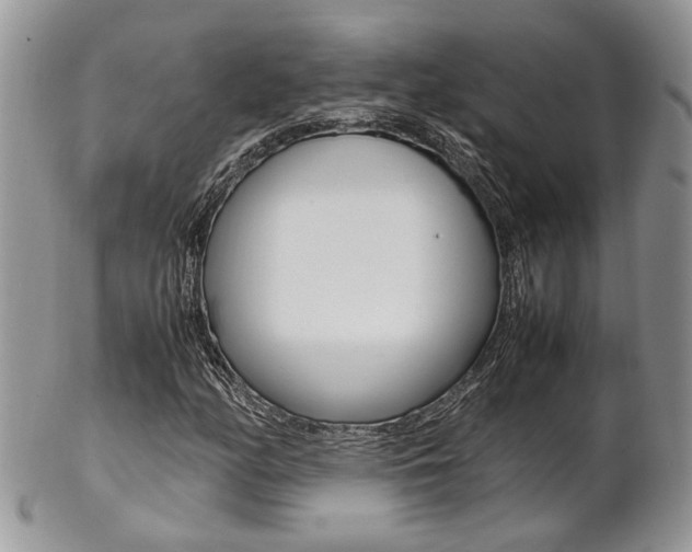 X0000102841158200808181018
