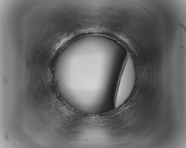 X0000102841160200808181018