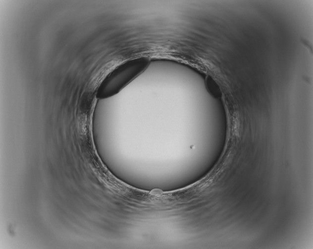 X0000102841161200808181018