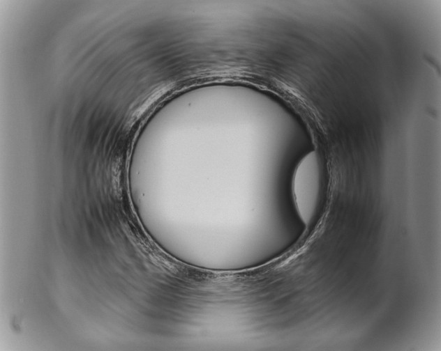 X0000102841162200808181018
