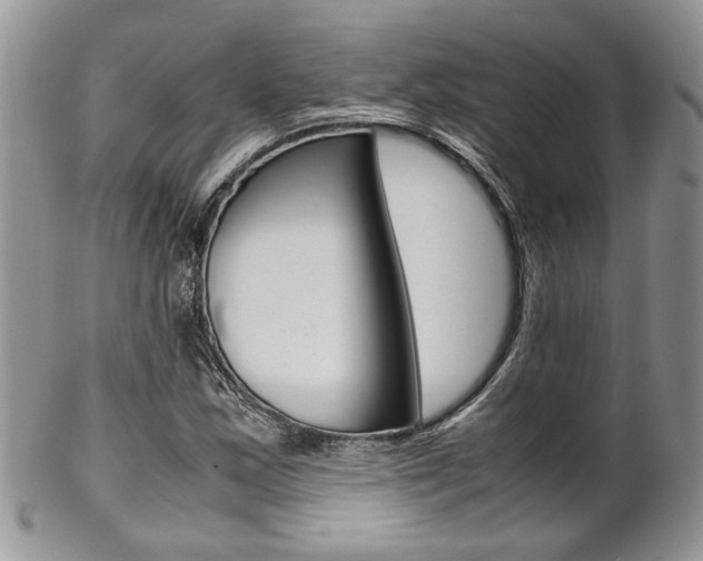 X0000102841163200808181018