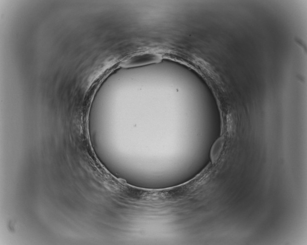 X0000102841165200808181018
