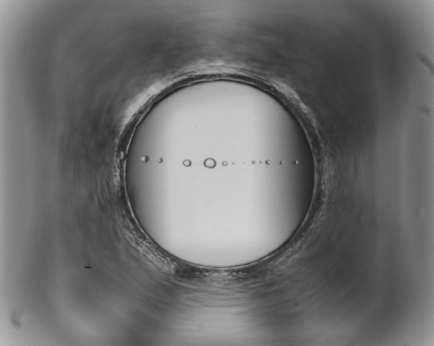 X0000102841167200808181018