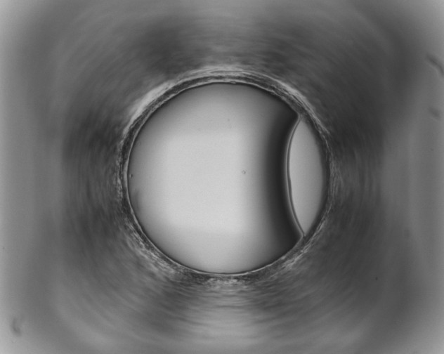 X0000102841168200808181018