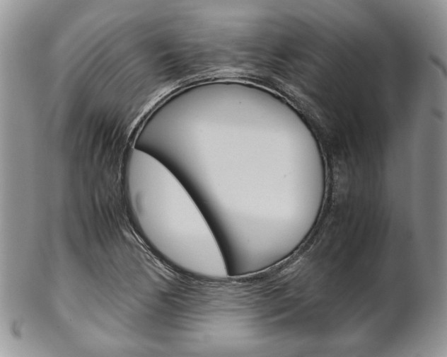 X0000102841170200808181018