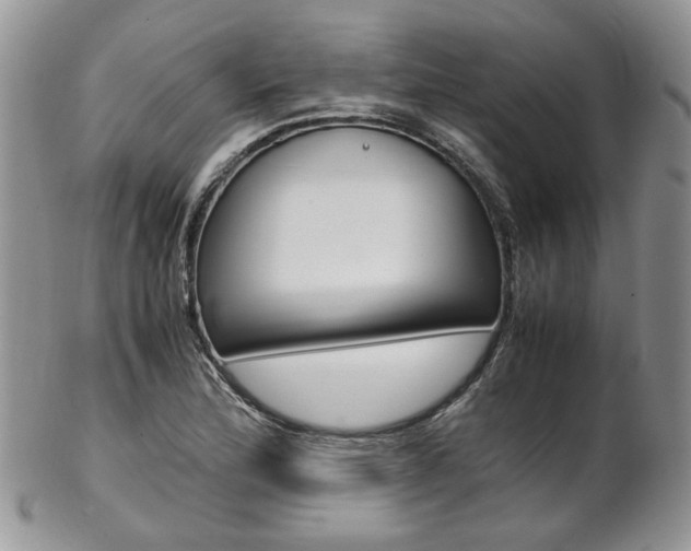 X0000102841172200808181018