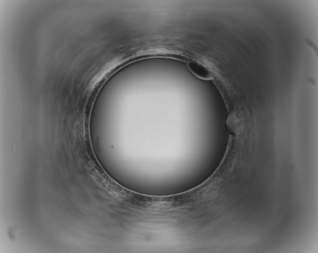 X0000102841173200808181018