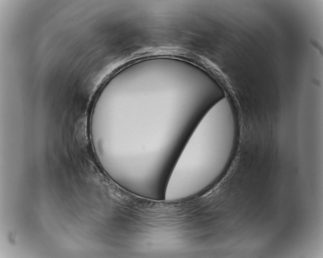 X0000102841174200808181018