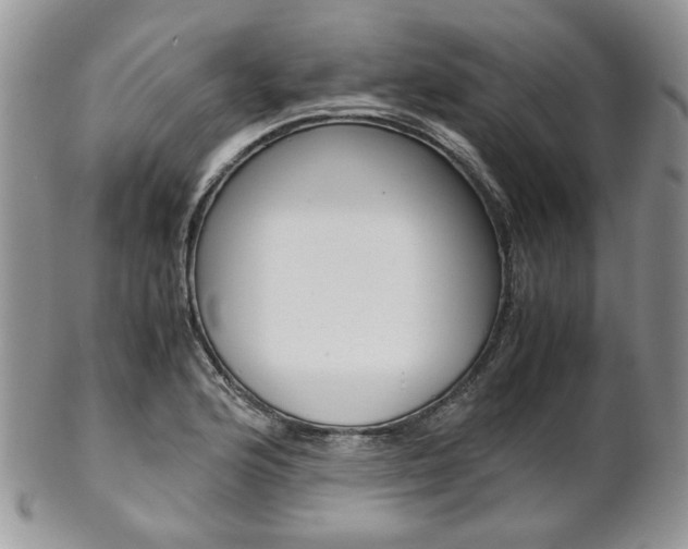 X0000102841176200808181018