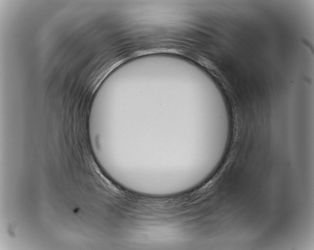 X0000102841177200808181018