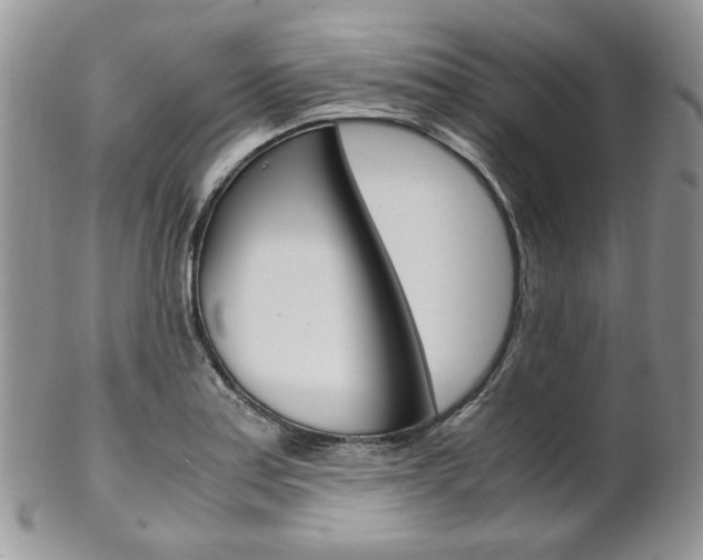 X0000102841179200808181018
