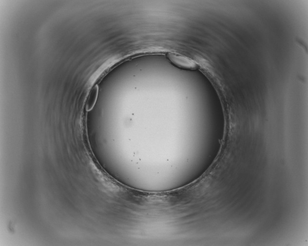 X0000102841181200808181018