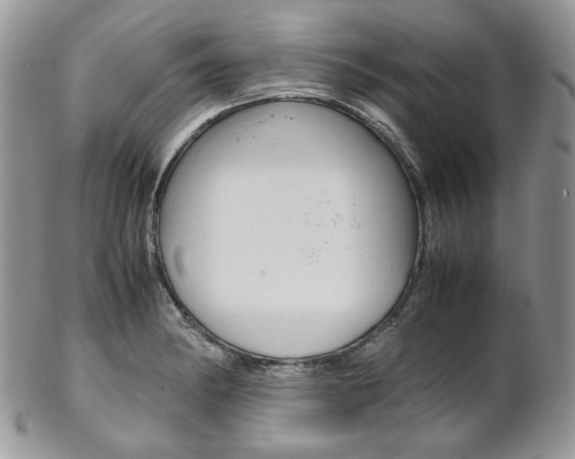 X0000102841182200808181018