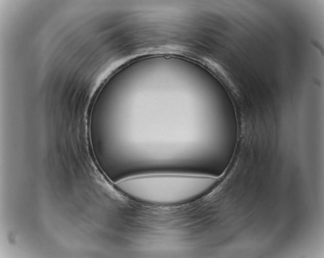 X0000102841184200808181018
