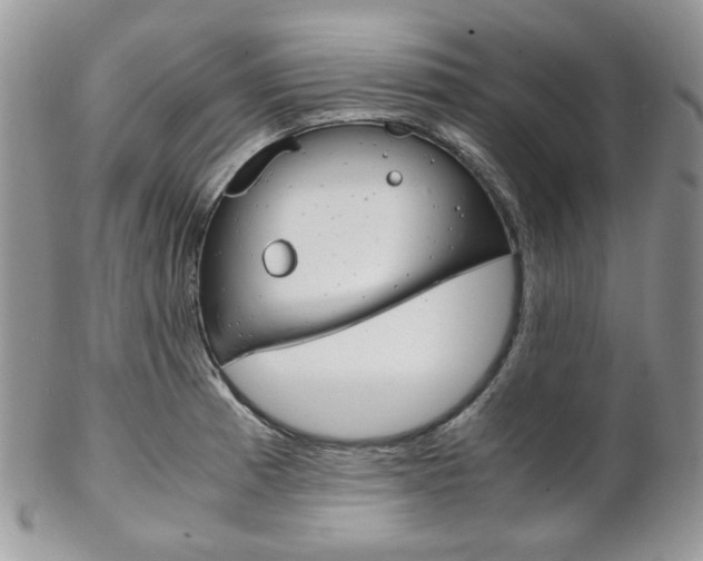 X0000102841185200808181018