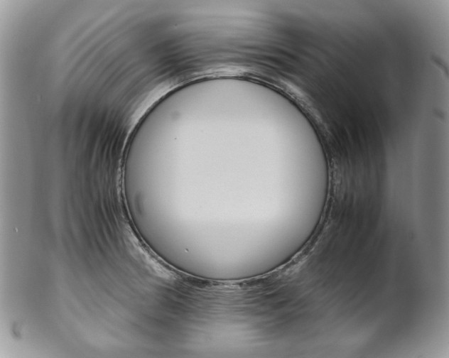 X0000102841186200808181018