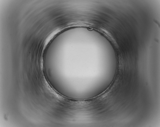 X0000102841188200808181018