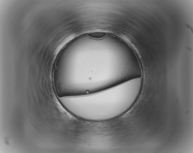 X0000102841189200808181018