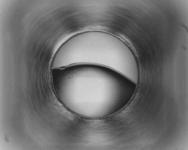 X0000102841192200808181018