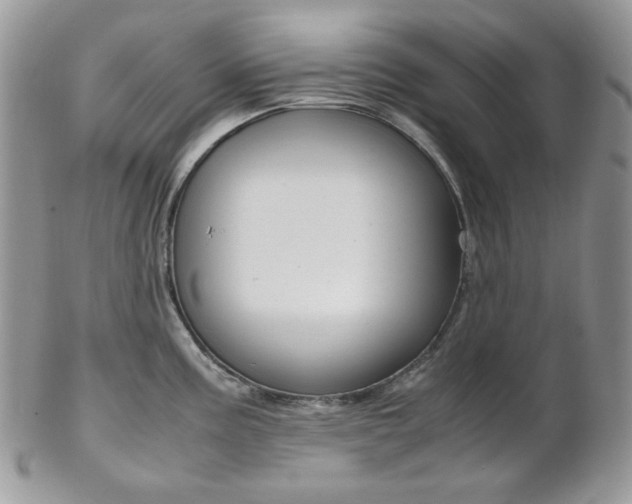 X0000102841195200808181018