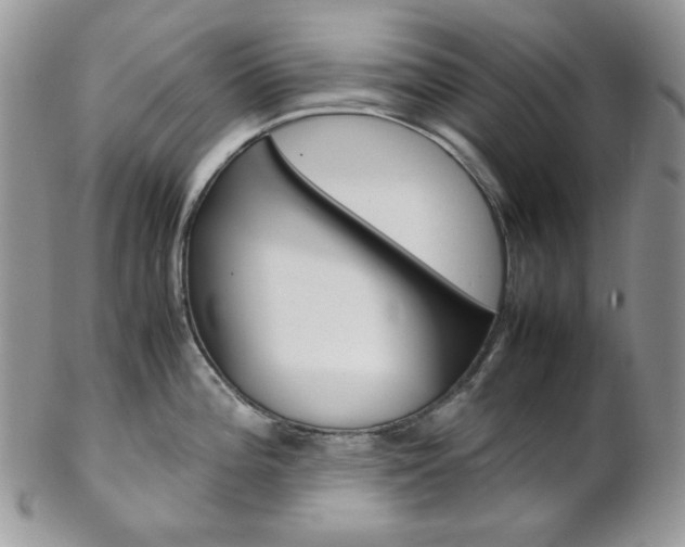 X0000102841196200808181018