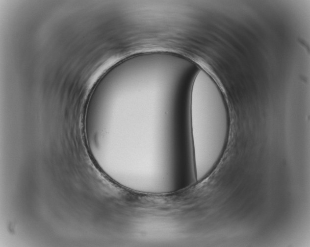 X0000102841197200808181018