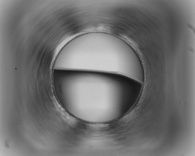 X0000102841200200808181018