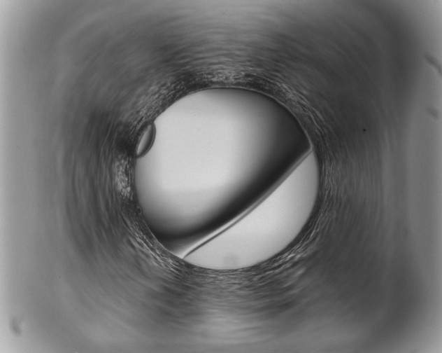 X0000102841202200808181017