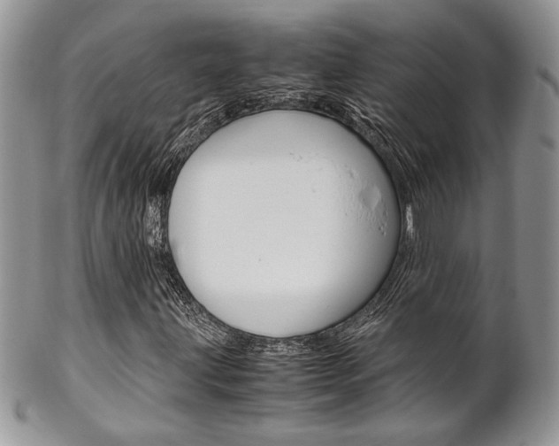 X0000102841203200808181017