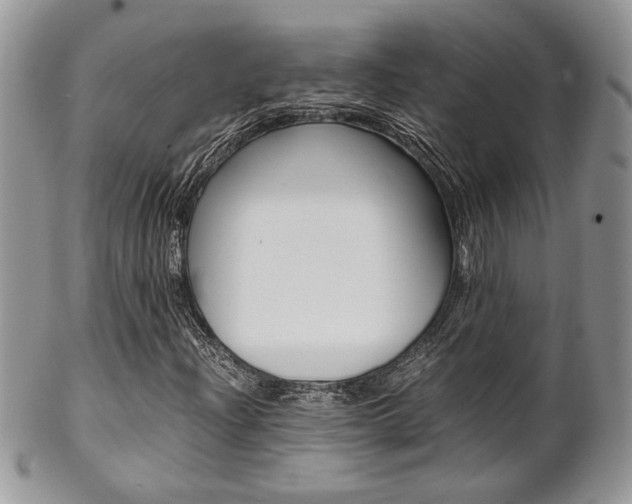 X0000102841204200808181017