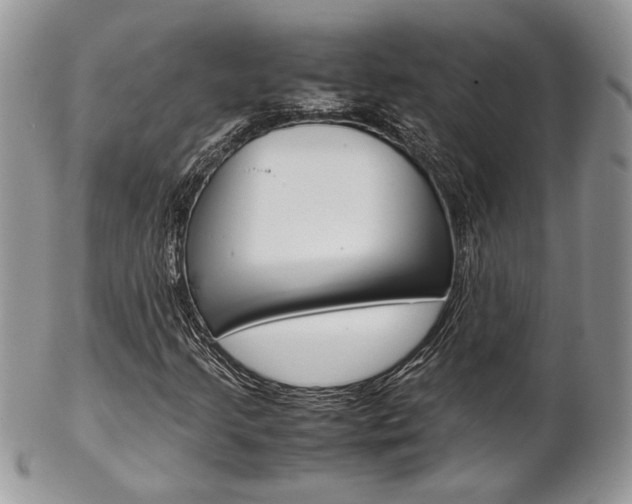 X0000102841205200808181017