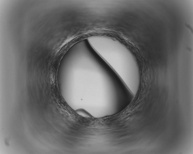 X0000102841206200808181017