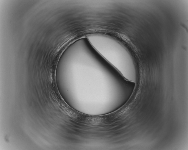 X0000102841209200808181017