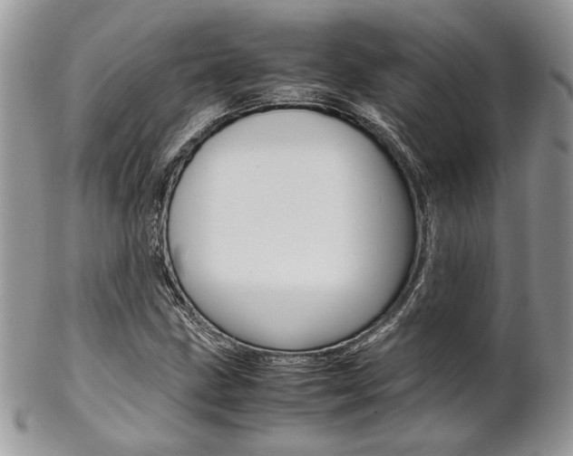 X0000102841211200808181017