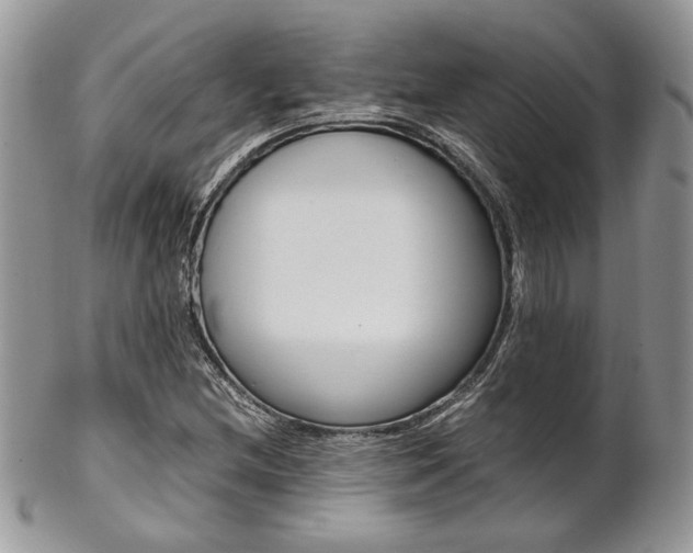 X0000102841212200808181017